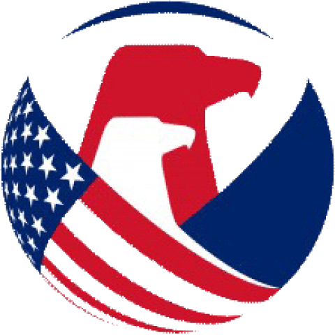 美国儿童CPC证书